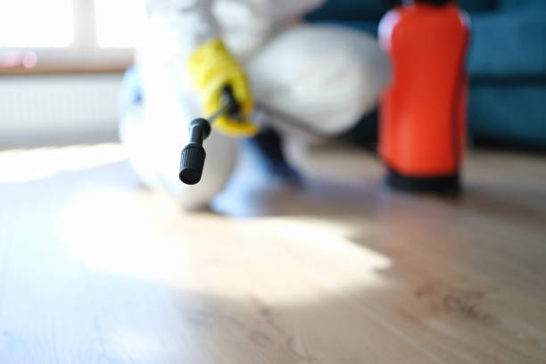 Menands, NY Mold Removal Company